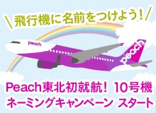 東北の小・中学生対象