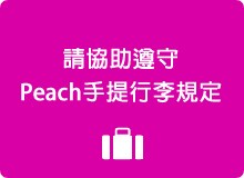 手提行李規定