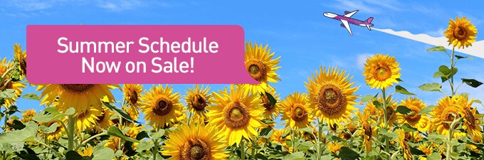 2017 Summer Schedule