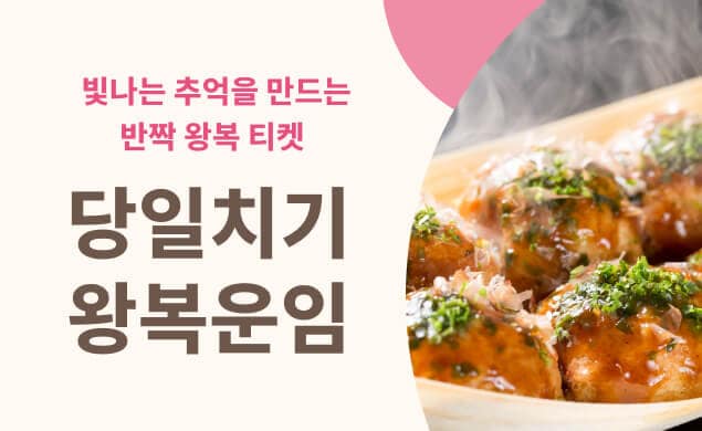 당일치기 왕복 운임