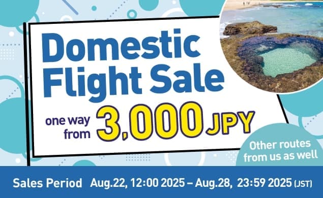 TRAVEL FESTIVAL 4th Week Domestic Flight Sale