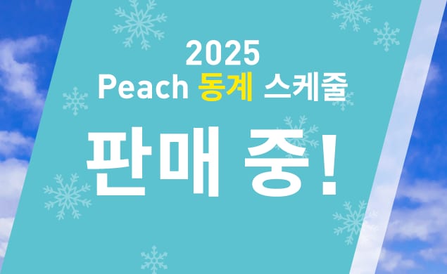 2025 동계 스케줄