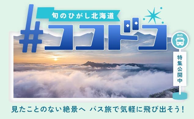 ココドコ ひがし北海道でぐるっとバス旅