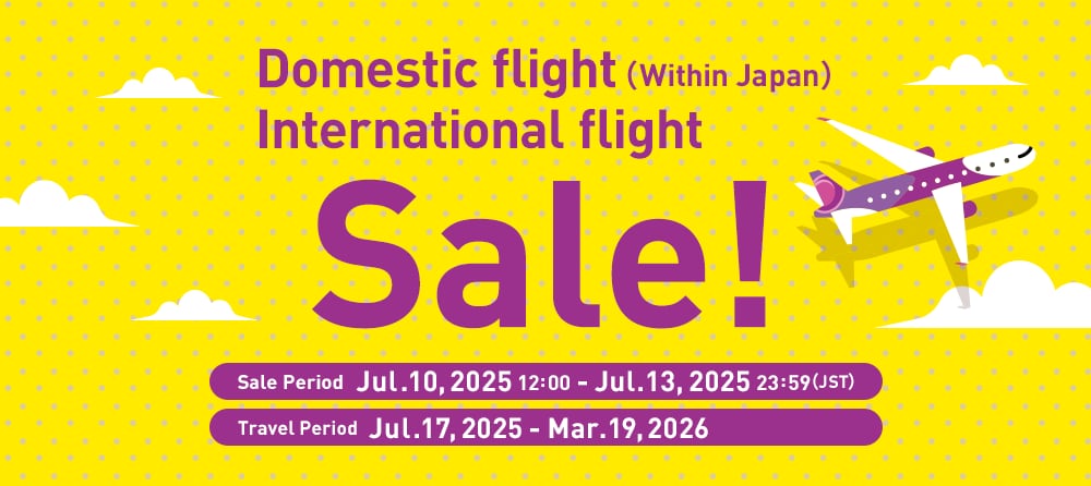 Domestic & international flight sales