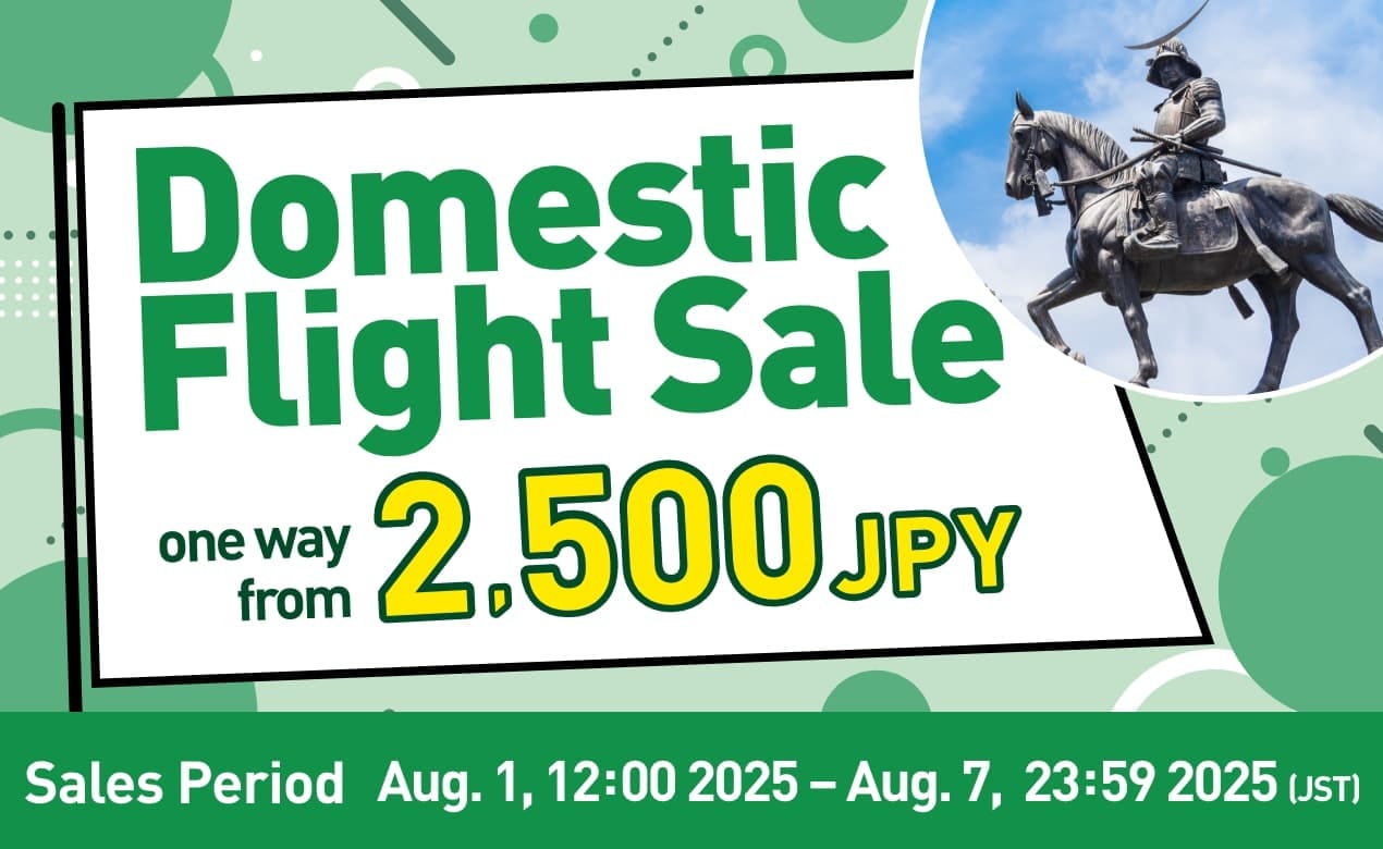 TRAVEL FESTIVAL 1st Week Domestic Flight Sale