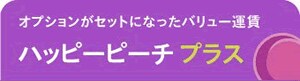 オプションがセットになったバリュー価格 ハッピーピーチプラス