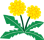 pageTop icon