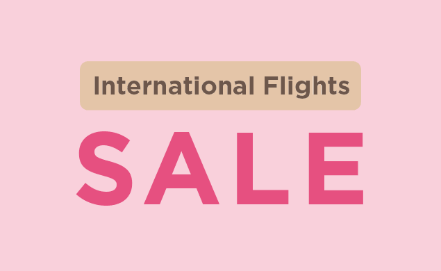 OFFICIAL] Peach | Peach Aviation