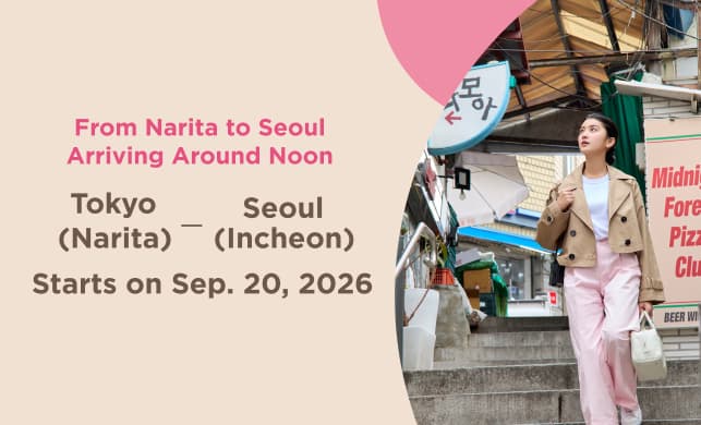 From Narita to Seoul Arriving Around Noon