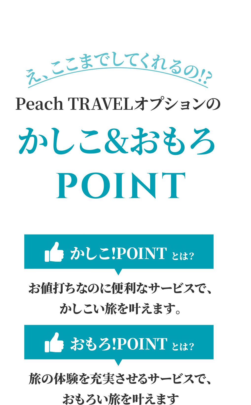 え、ここまでしてくれるの!? Peach TRAVELオプションのかしこ&おもろPOINT かしこ!POINTとは？お値打ちなのに便利なサービスで、かしこい旅を叶えます。おもろ!POINTとは？旅の体験を充実させるサービスで、おもろい旅を叶えます