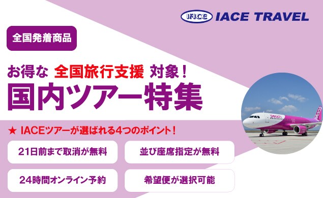 IACEのツアーをチェック