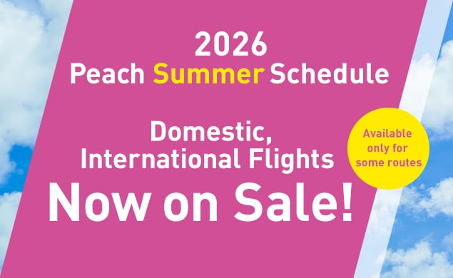 2026 Summer Schedule