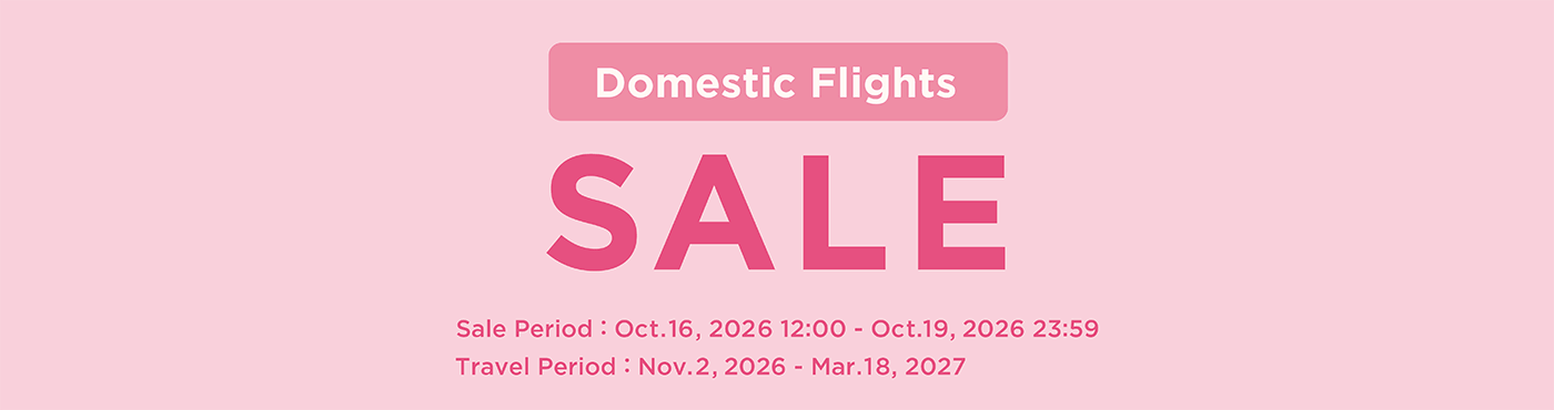 Domestic Flights Sale