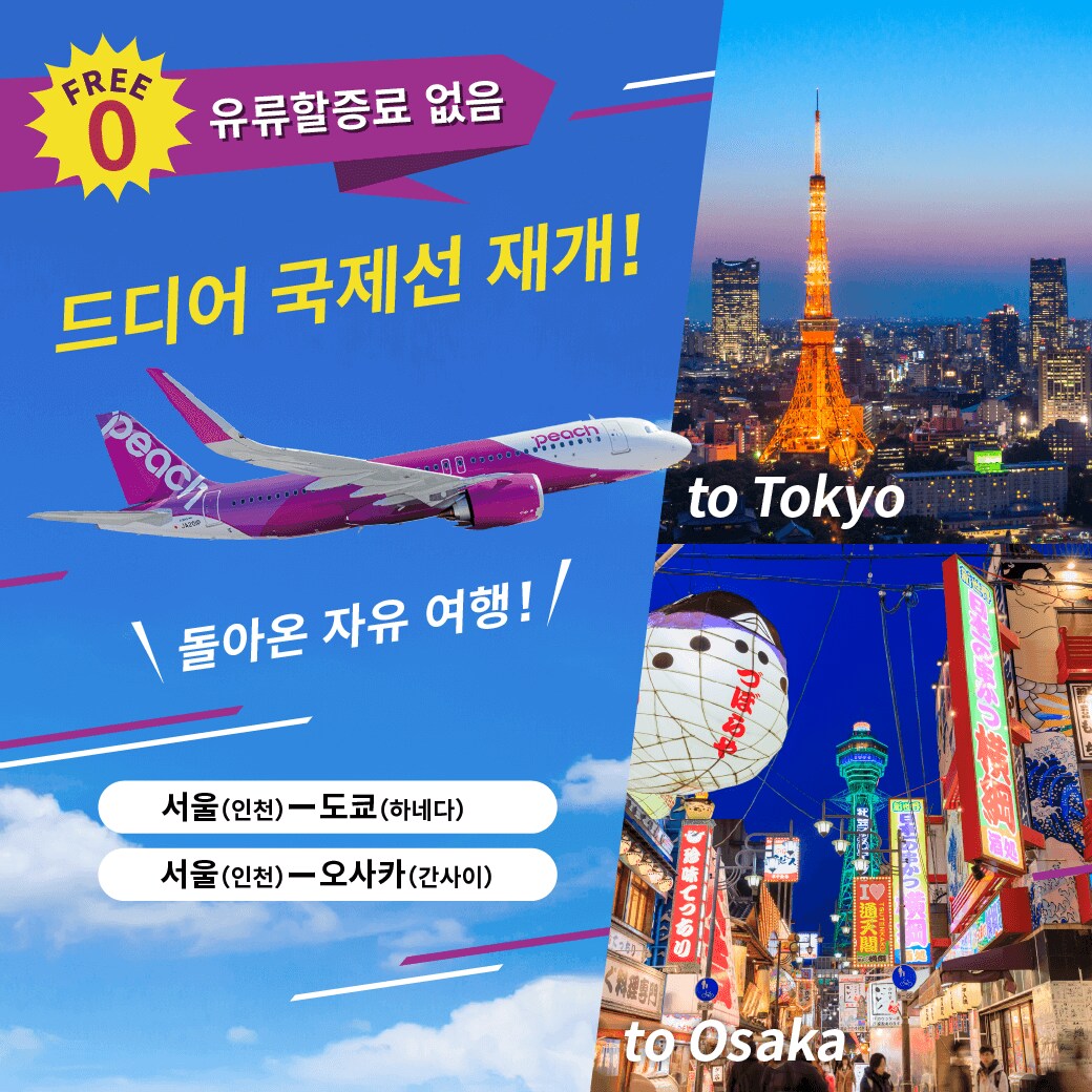 국제선 재개
