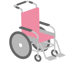 Passengers with Disabilities
