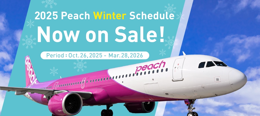 Flight Schedule