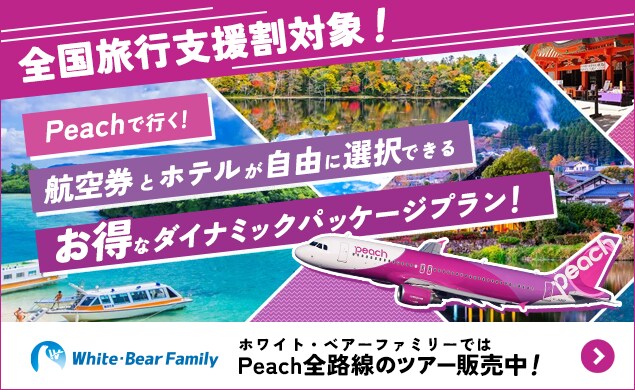 ホワイト・ベアーファミリーのツアーをチェック