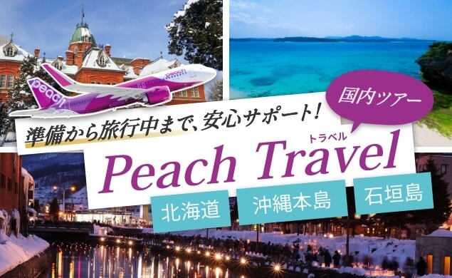 国内ツアー