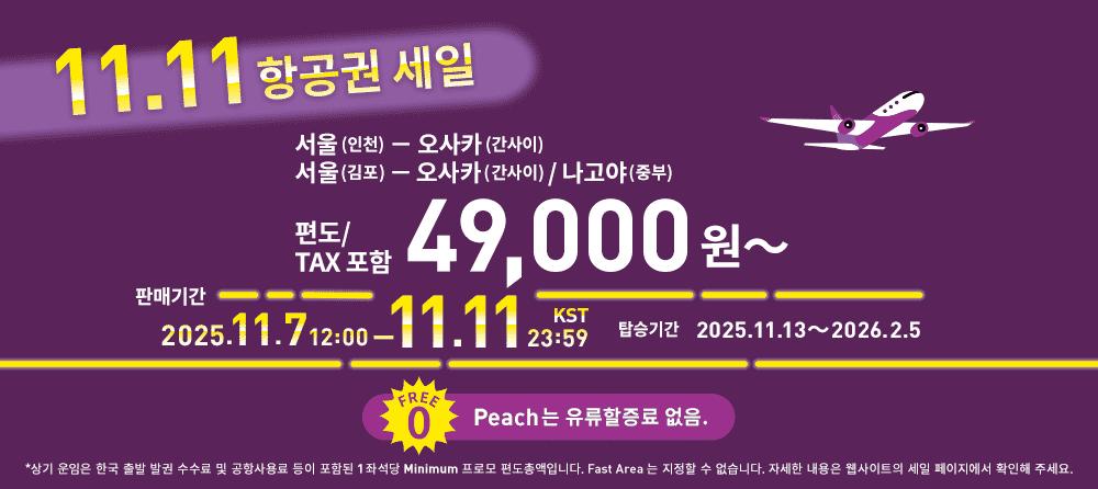 11.11 항공권 세일