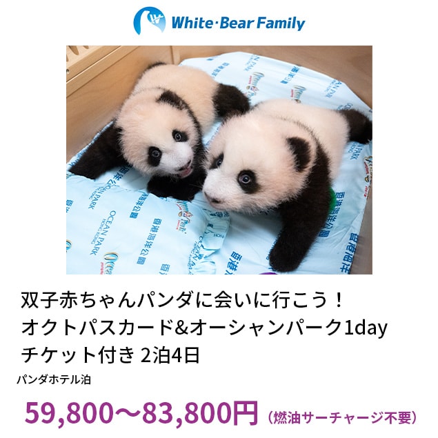 【PeachTravel｜ありがとうフェア！】関西発/日系LCC・Peachで行く香港旅行！『パンダホテル』ICカード＆オーシャンパーク1デーチケット付2泊4日間 （空港⇒ホテル間往路送迎）