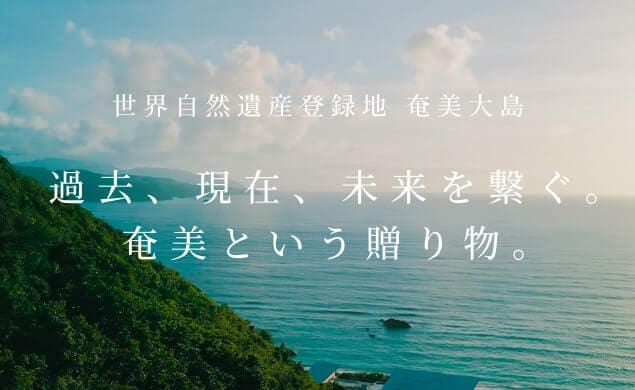 公式 ピーチ Peach Aviation 公式 ピーチ Peach Aviation