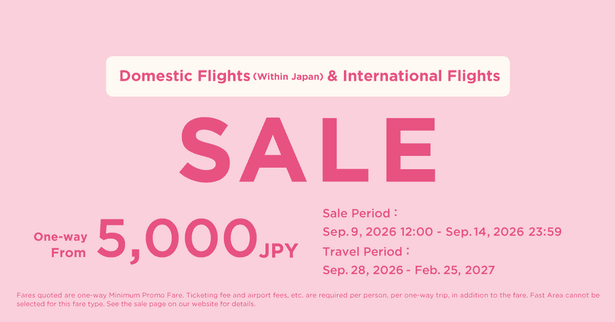 Domestic & International Flights Sale