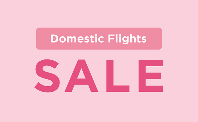 Domestic Flights Sale