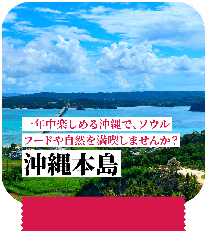 一年中楽しめる沖縄で、ソウルフードや自然を満喫しませんか？ 沖縄本島