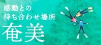 今こそ、体感することの素晴らしさを。 in AMAMI