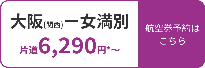 大阪(関西)ー女満別 片道6,290円*〜 航空券予約はこちら
