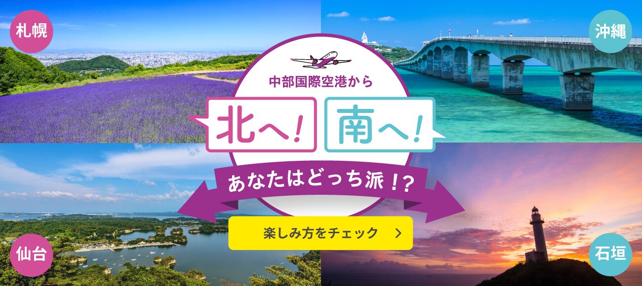 公式 ピーチ Peach Aviation 公式 ピーチ Peach Aviation