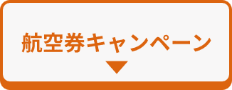 航空券キャンペーン