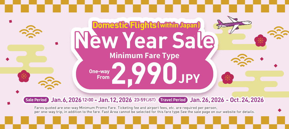 Domestic Flights New Year Sale