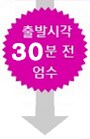 출발 시각 30분 전 엄수