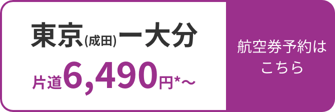 東京(成田)ー大分 片道6,290円*〜 航空券予約はこちら