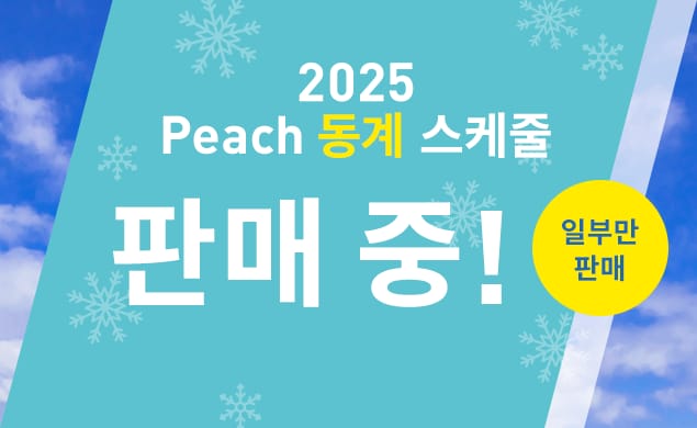 2025 동계 스케줄
