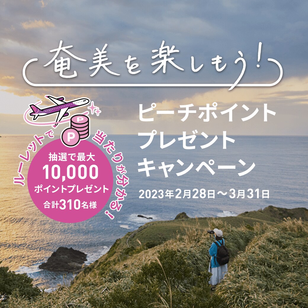 キャンペーン