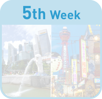 5th week