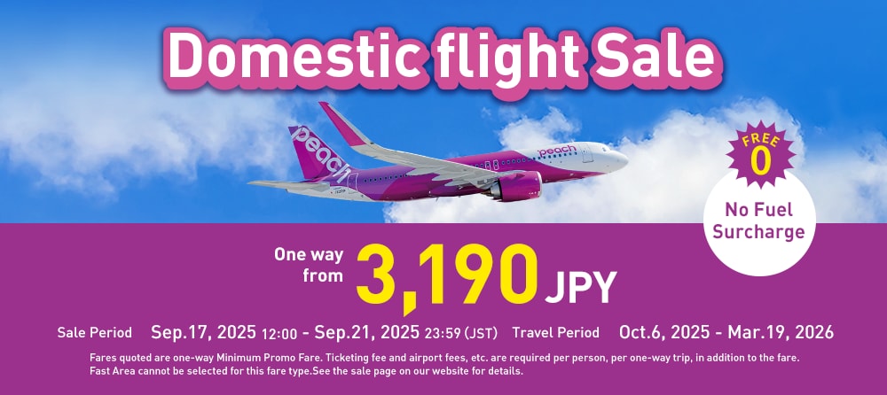 Domestic Flight Sale