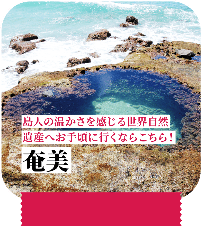 島人の温かさを感じる世界自然遺産へお手頃に行くならこちら！ 奄美