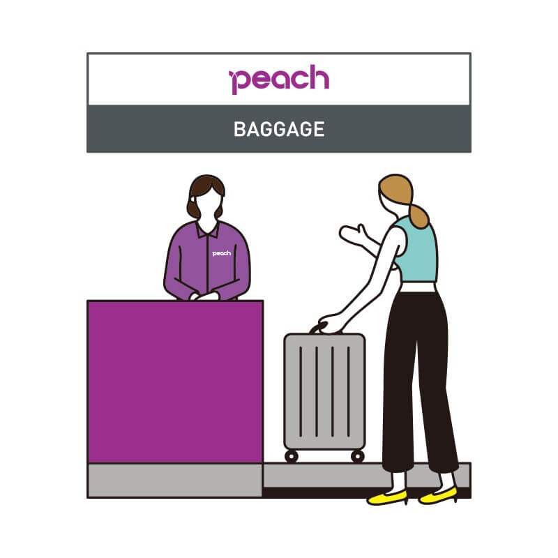Checked baggage