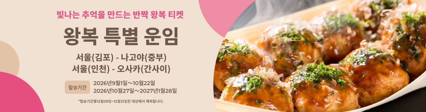 당일치기 왕복 운임