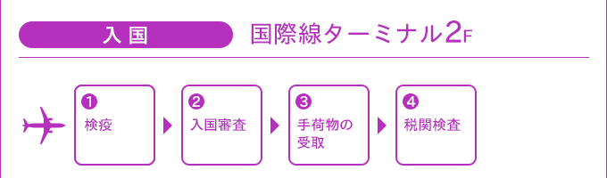入国