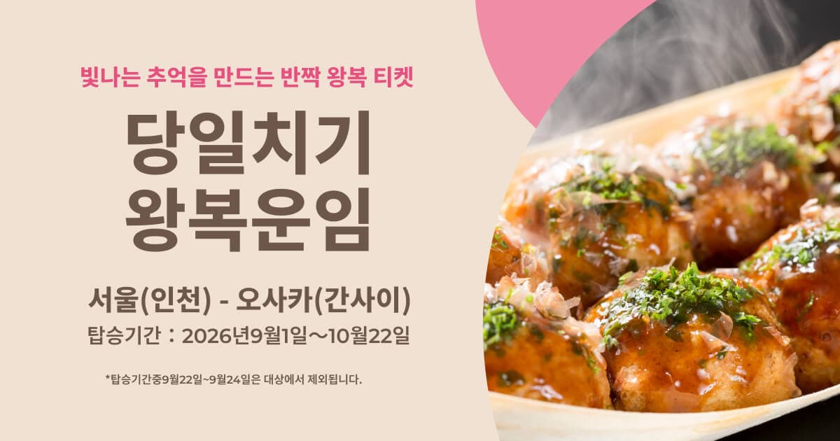 당일치기 왕복 운임
