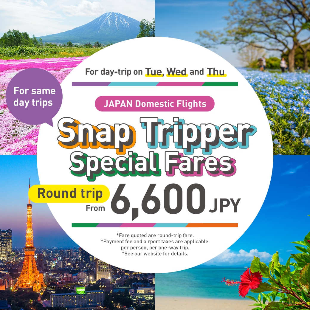 Same day 2025 round trip flights