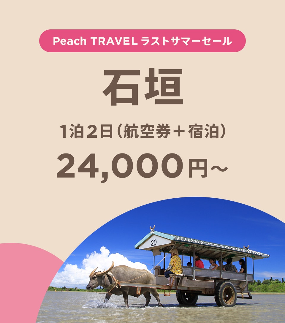 Peach TRAVEL ピーチ トラベル | Peach Aviation株式会社