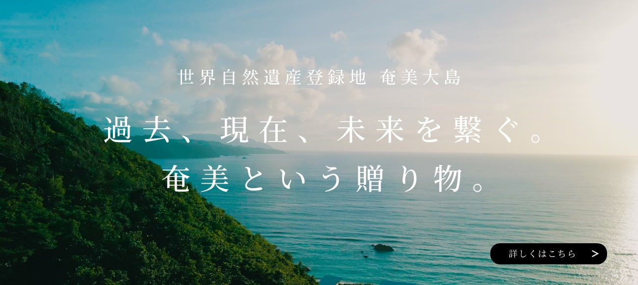 公式 ピーチ Peach Aviation 公式 ピーチ Peach Aviation