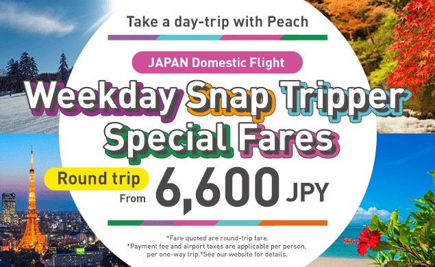Weekday Snap Tripper Special Fares
