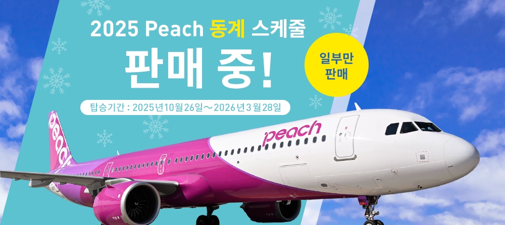 2025 동계 스케줄