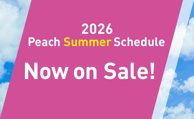 2026 Summer Schedule